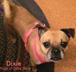 Dixie